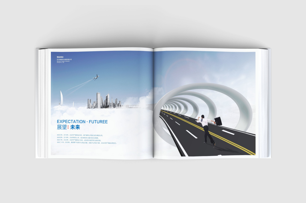 振安区画册设计
